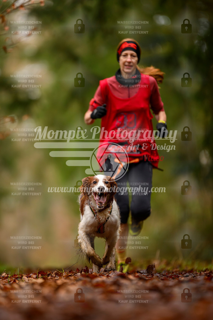 MompixPhotography_2SSTSSBW_2025_SO_Canicross-48 | PayLife