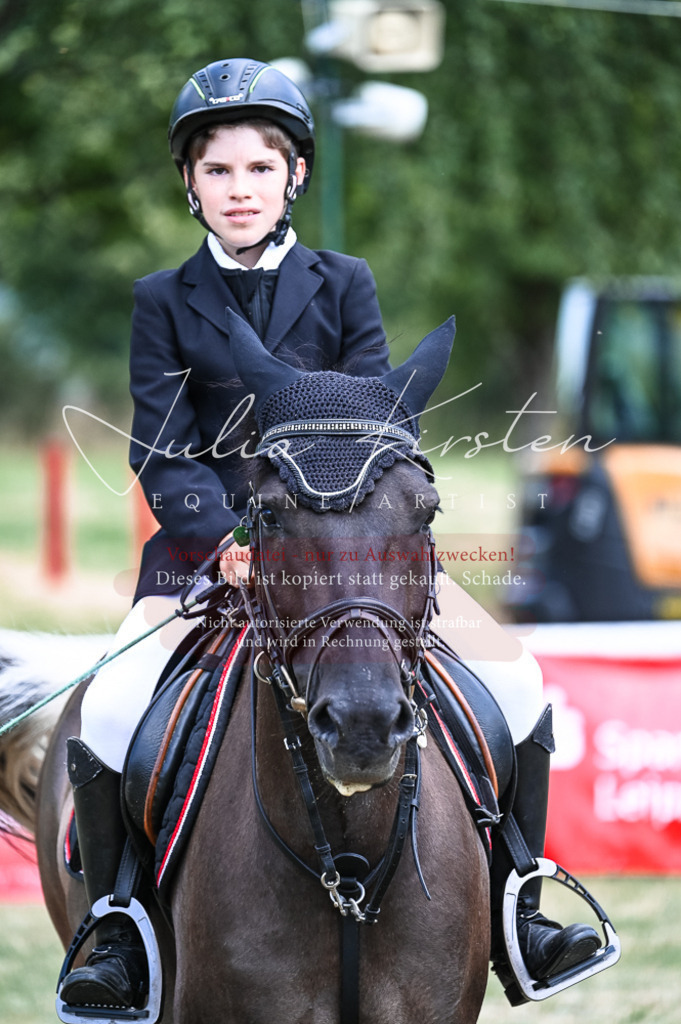 DSC_9756 | Pferde- und Turnierfotografie in Westsachsen. Pferdeportraits, Auftragszeichnungen und intuitive Kunst.