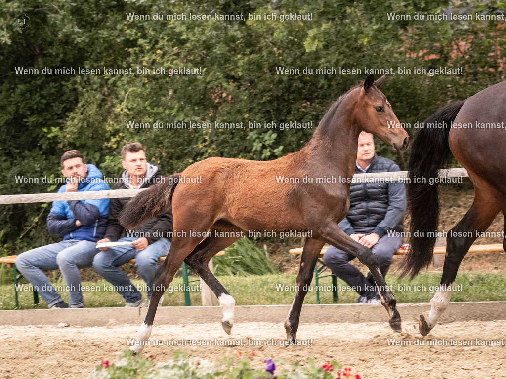 A10I7108 | photographylinaismer - Realisiert mit Pictrs.com