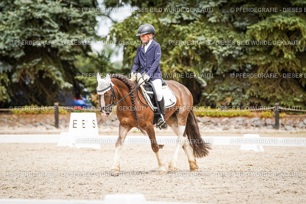 DSC04409 | Pferdegrafie