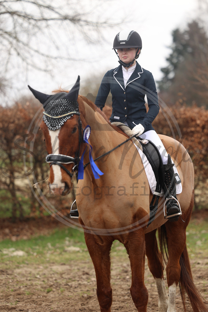 994A9170 | sabrinanicolaifotografie - Realisiert mit Pictrs.com