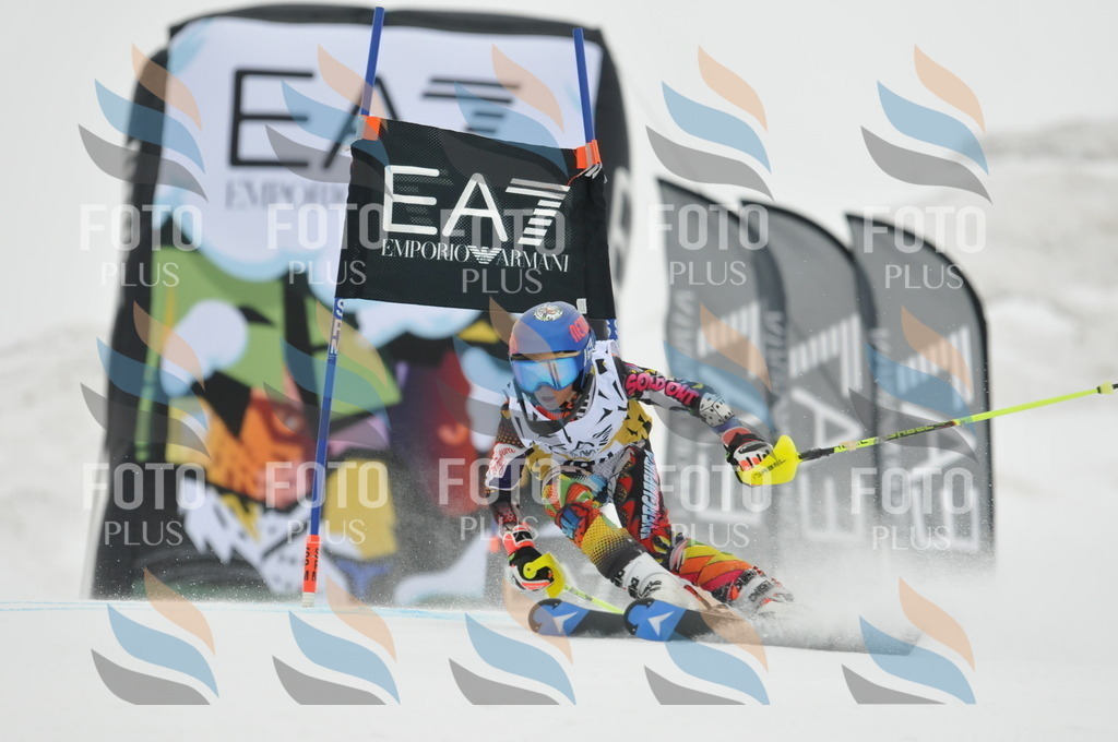 DSC_8687 | holidayphoto