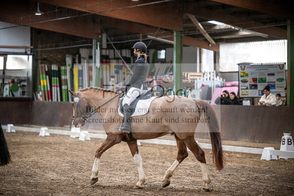 DOS_0512 | Entdecke hochwertige Reitturnierfotos von Foto Oger. Professionell, emotional und authentisch – jetzt Lieblingsmomente im Shop bestellen.Deutschlandweite Turnierfotografie. - Realisiert mit Pictrs.com