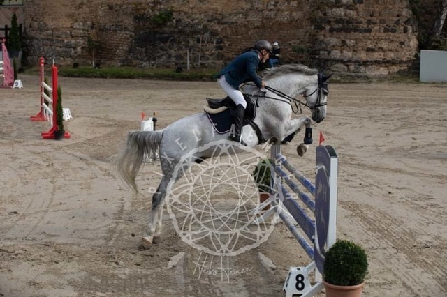 2B4A2043 | pixelfaenger - Realisiert mit Pictrs.com