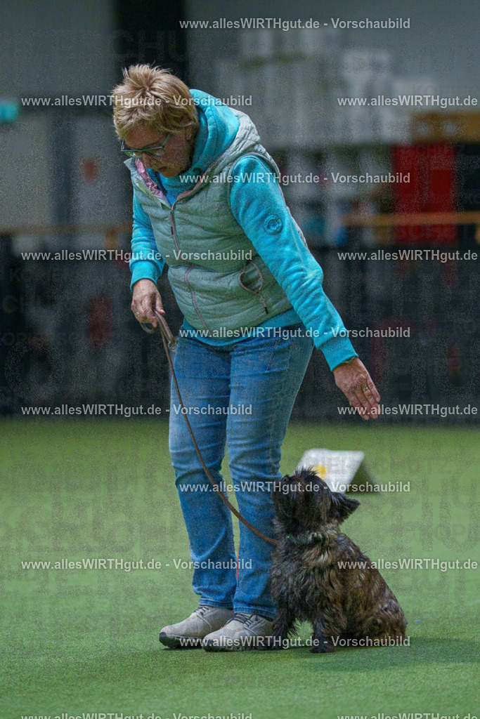 7R503260 | Professionelle Tierfotografie in Mönchengladbach von Daniel Wirth (allesWIRTHgut). Liebevolle & natürliche Bilder von Hunden & Katzen für unvergessliche Erinnerungen.