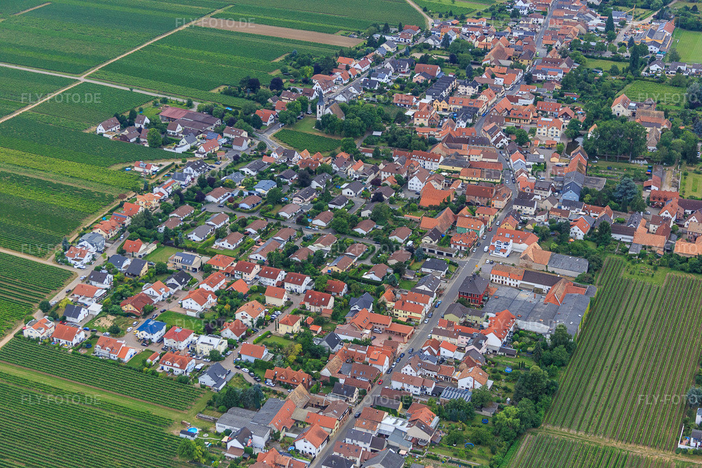Luftbild: Hauptstr in Friedelsheim im Bundesland Rheinland-Pfalz in Deutschland. Foto: IMG_092151.jpg vom 16.07.2016 durch Werner Riehm/FLY-FOTO.de