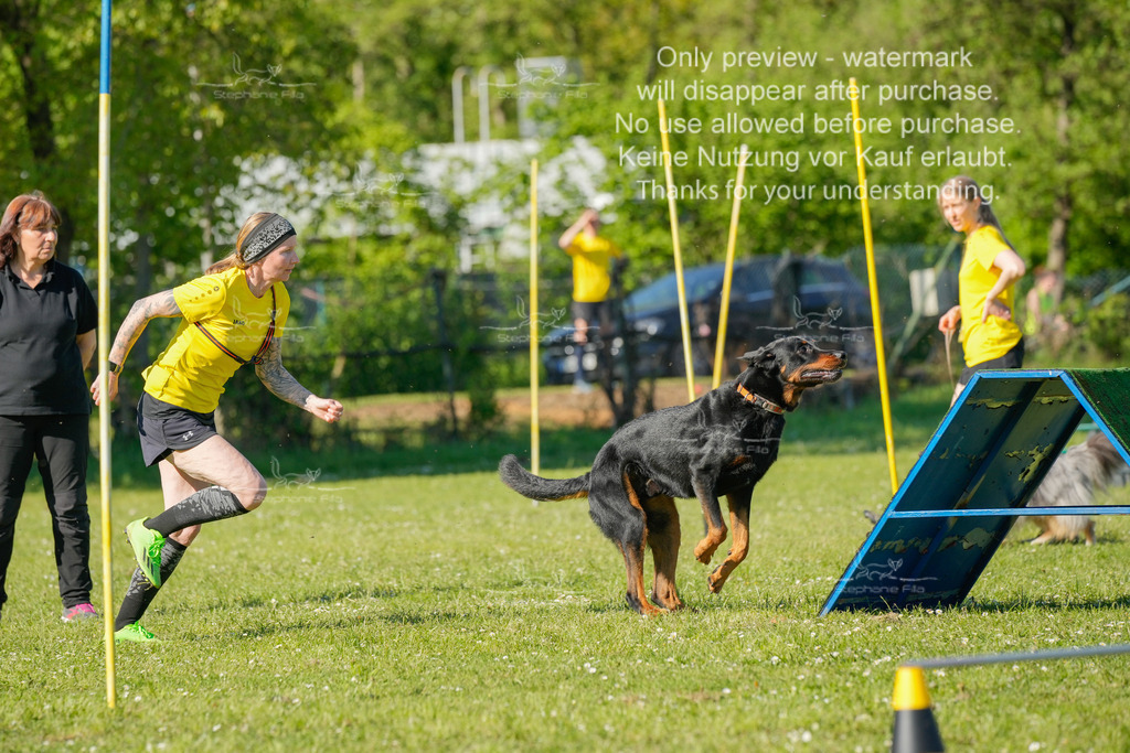 Sa_CSC-395 | stephaniefillaphotographie - Realisiert mit Pictrs.com