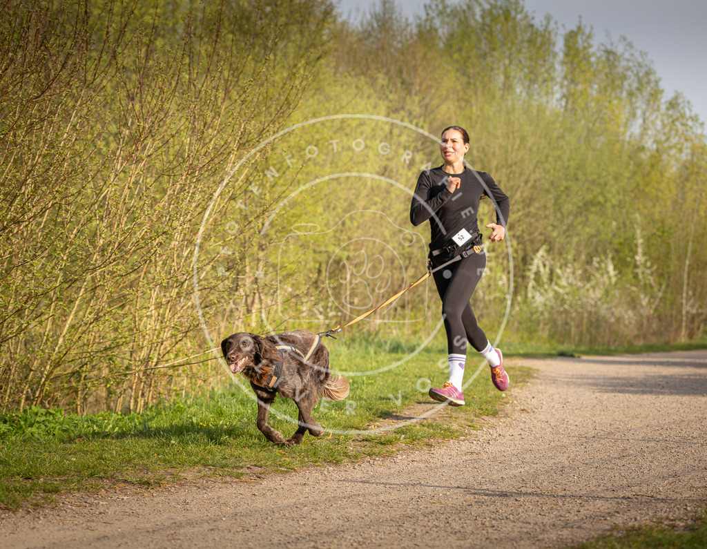 Pfotenfotografie_DV3A4618 | Hundefotografie, Tierfotograf, Pfotenfotografie, Fotoshooting Hund, Hunde Portrait, Hundesport, Hundeportraits, Heideshooting, Hunde, Sportfotograf, Hundefotograf, Turnierhundsport, THS,  - Realisiert mit Pictrs.com
