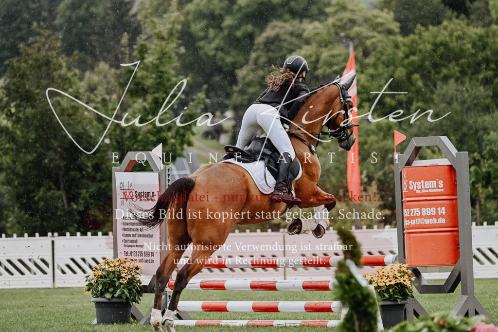 DSC_6940 | Pferde- und Turnierfotografie in Westsachsen. Pferdeportraits, Auftragszeichnungen und intuitive Kunst.