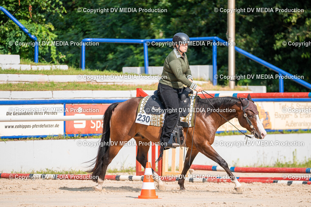 Zeiskam Tag 1-293 | dv-media-shop - Realisiert mit Pictrs.com