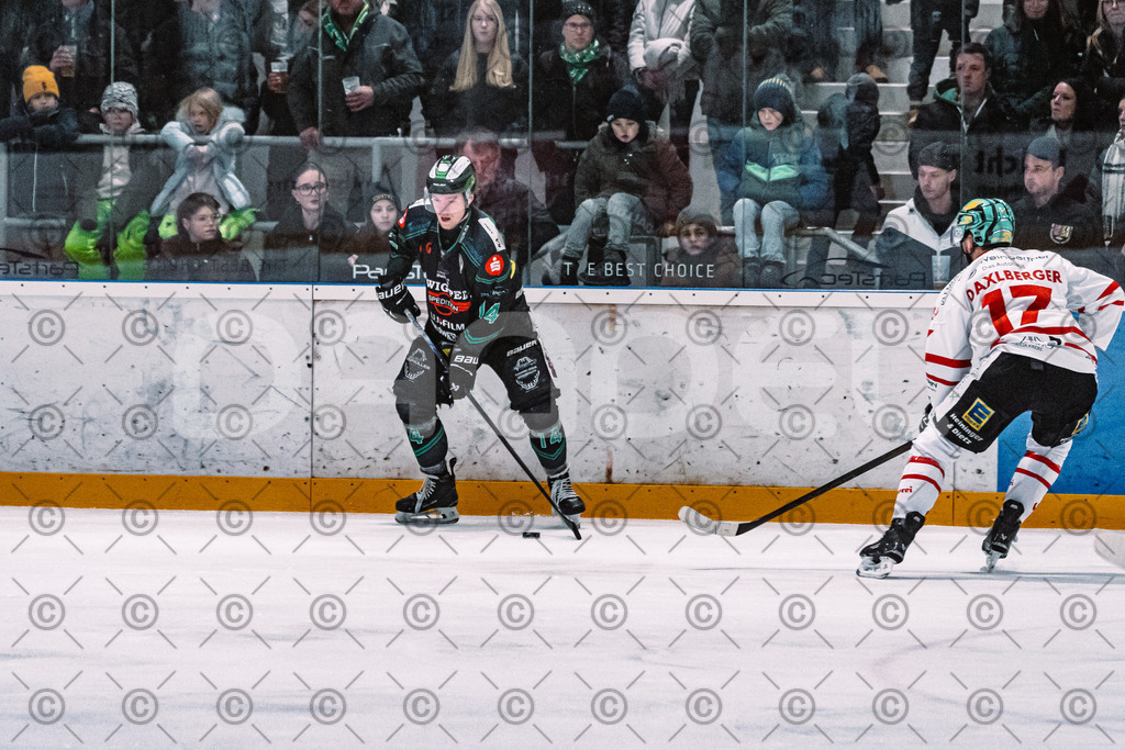 Alligators_vs_Toelz_15_02_2026-13 | Höchstadt Alligators Fotogalerie: Eishockey-Action aus Franken. Professionelle Spielfotos, Portraits & Stadionbilder zum Download. Jetzt entdecken! - Realisiert mit Pictrs.com