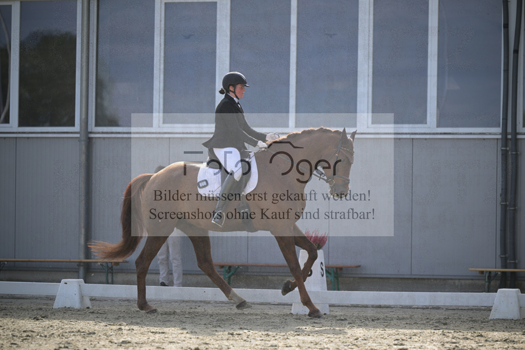 DOS_2749 | Entdecke hochwertige Reitturnierfotos von Foto Oger. Professionell, emotional und authentisch – jetzt Lieblingsmomente im Shop bestellen.Deutschlandweite Turnierfotografie. - Realisiert mit Pictrs.com