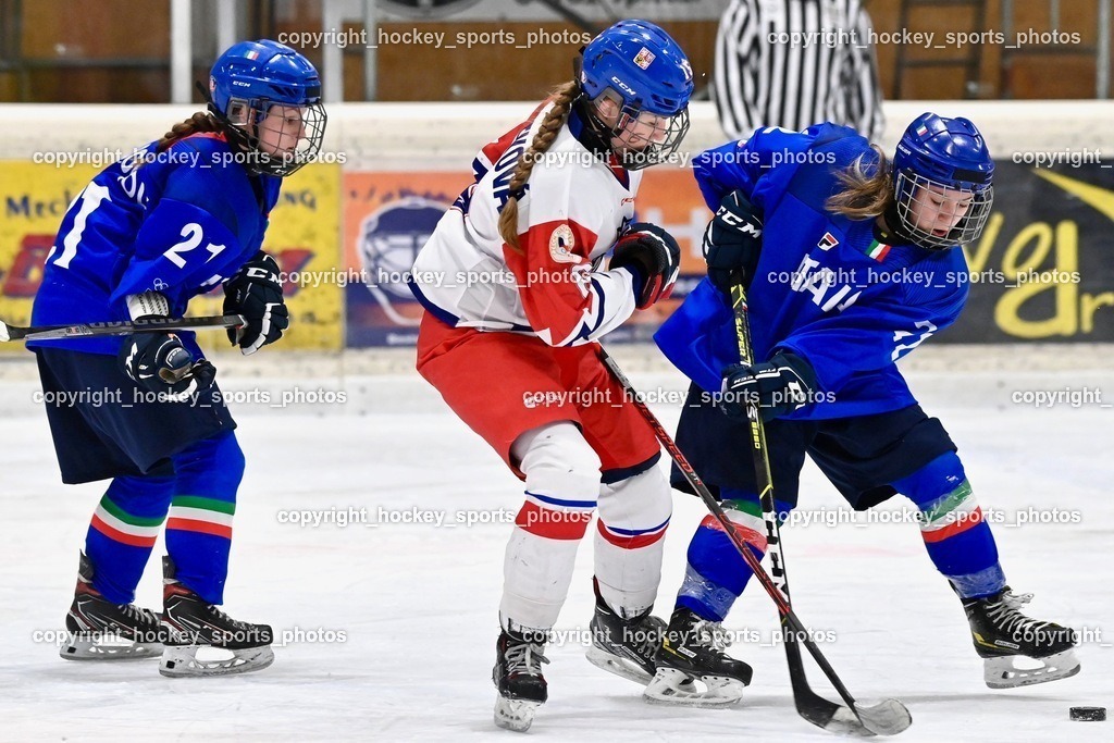 BST_5095 | hockey sports photos, Pressefotos, Sportfotos, hockey247, win 2day icehockeyleague, Handball Austria, Floorball Austria, ÖVV, Kärntner Eishockeyverband, KEHV, KFV, Kärntner Fussballverband, Österreichischer Volleyballverband, Alps Hockey League, ÖFB, 