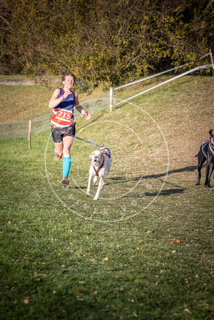 CaniXpix_0L8A9573 | Hundefotografie, Tierfotograf, Pfotenfotografie, Fotoshooting Hund, Hunde Portrait, Hundesport, Hundeportraits, Heideshooting, Hunde, Sportfotograf, Hundefotograf, Turnierhundsport, THS,  - Realisiert mit Pictrs.com