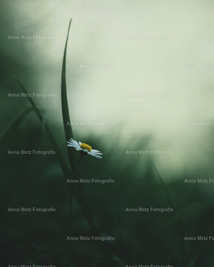 2 Kopie | anna-metz - Realisiert mit Pictrs.com