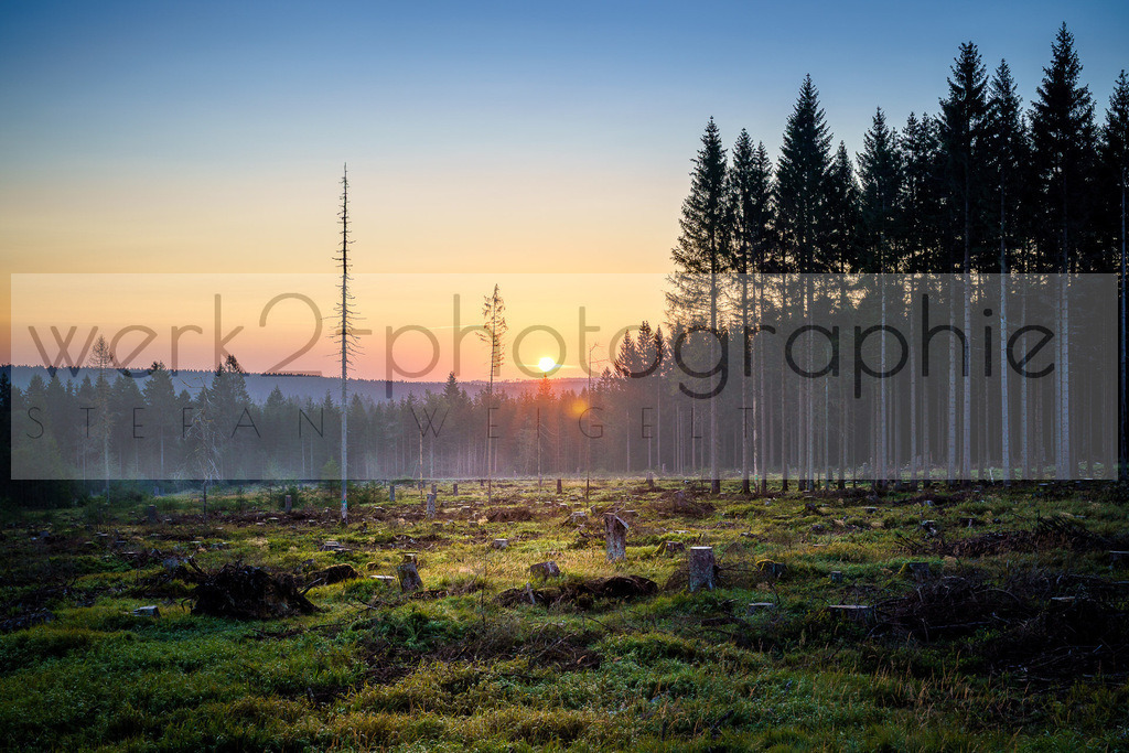 DP Oberhof | 1. DSV JOKA Deutschlandpokal Biathlon, 19.-22.09.2024 - LOTTO Thüringen Arena Oberhof