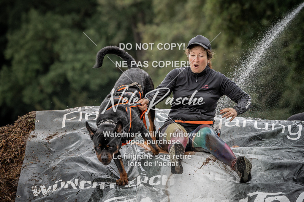 nelerasche_Wingst_Sa1300-1330_390 | nelerasche