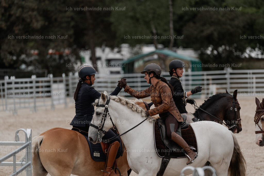 WE__Stoib_Rinder_PI2025_3137 | Pferd International München 2025