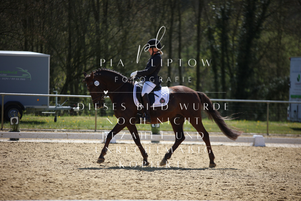 IMGT1786 | pl-fotografie