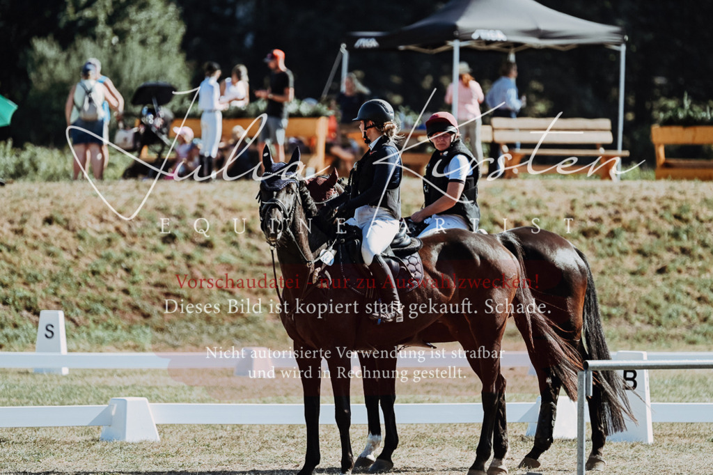 DSC_8654 | Pferde- und Turnierfotografie in Westsachsen. Pferdeportraits, Auftragszeichnungen und intuitive Kunst.