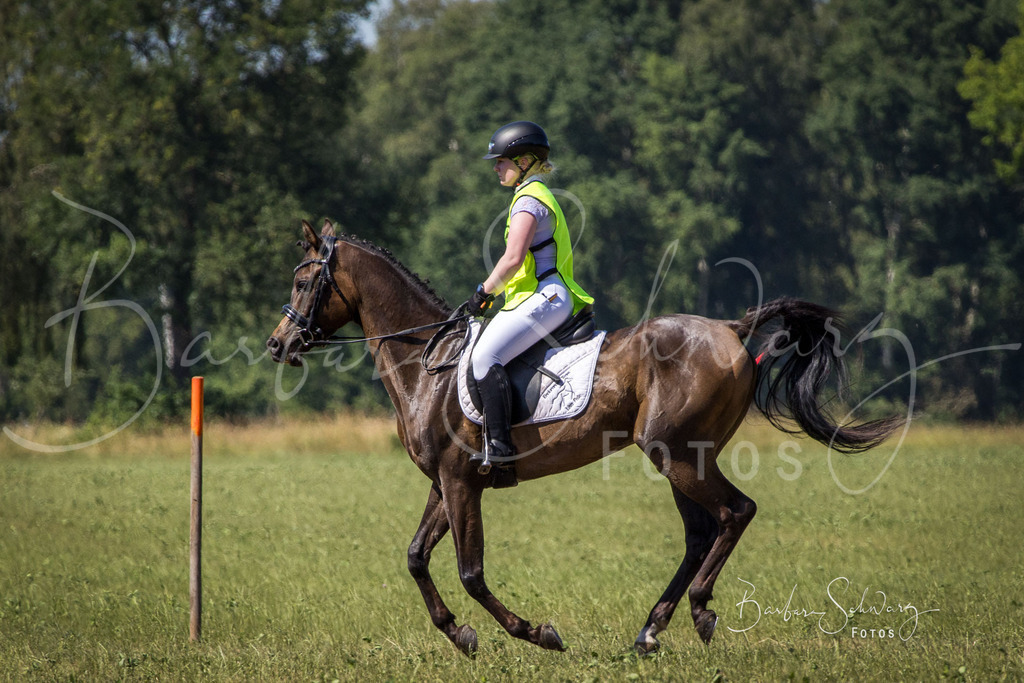 CJP_2026-06-26_171 | Stimmungsvolle Fotografie von Pferden, fotografische Begleitung von Veranstaltungen, Golfturnieren und Distanzritten - Realisiert mit Pictrs.com
