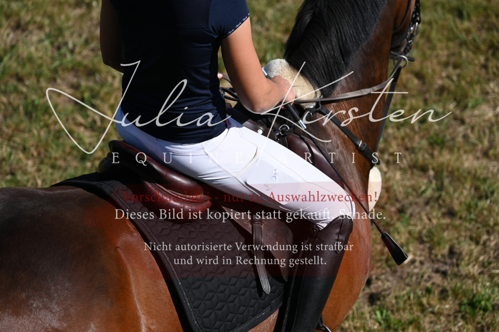 DSC_2009 | Pferde- und Turnierfotografie in Westsachsen. Pferdeportraits, Auftragszeichnungen und intuitive Kunst.