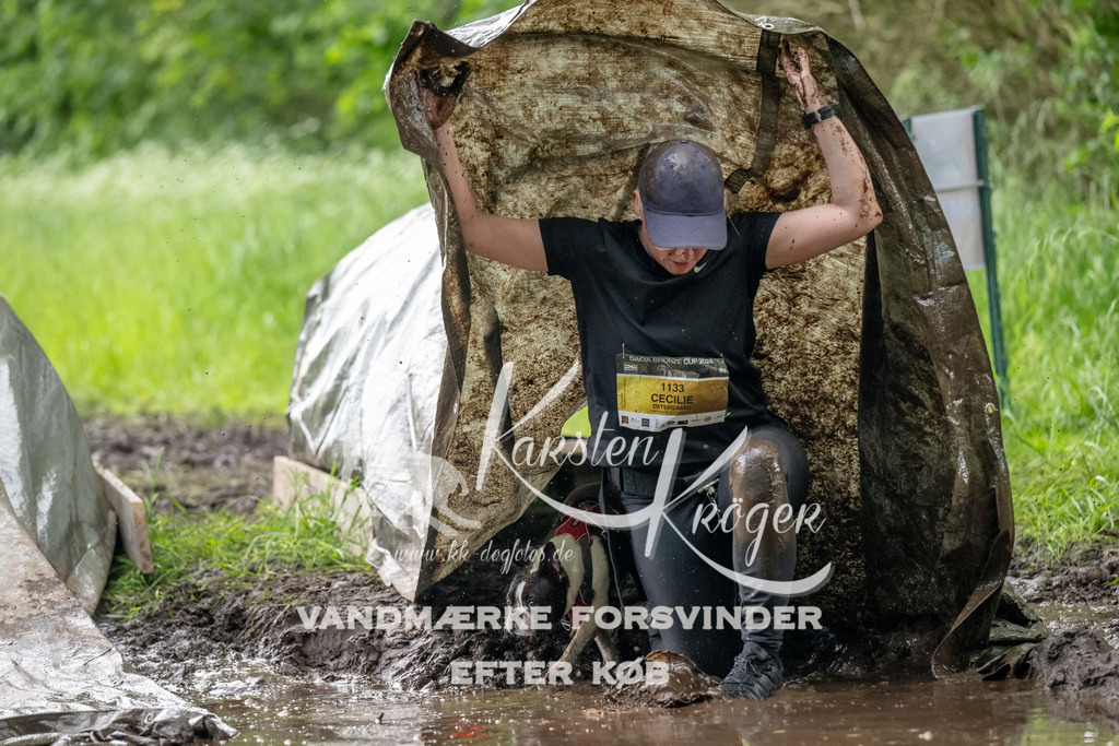 1501_ZZ91498-Bearbeitet | kk-dogfotos