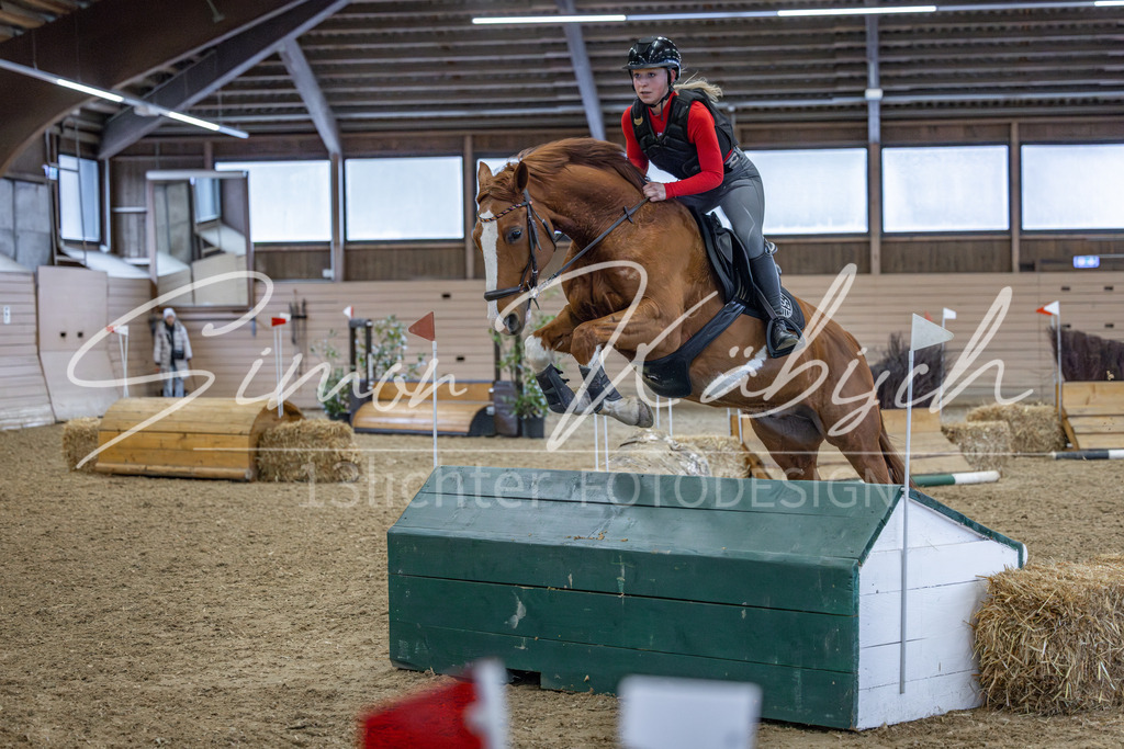 20260221-_3LI9066 | Tierfotografie Pferde, Hunde, Katzen, Haustiere.
Turnierfotografie Reitturniere, Reiten, Springreiten, Dressur in Hanau, dem Main-Kinzig-Kreis und dem Rhein-Main- Gebiet um Frankfurt