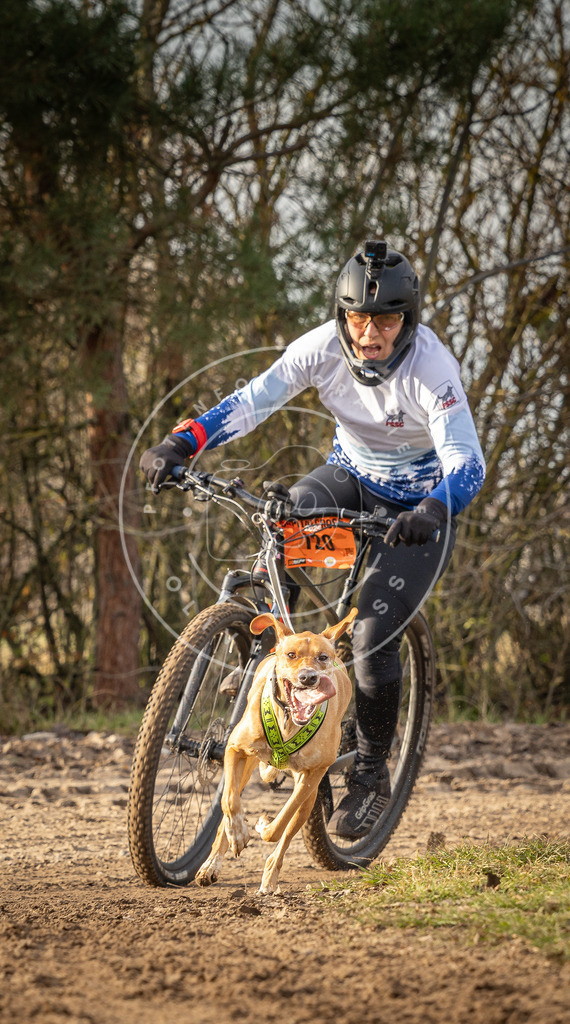 Pfotenfotografie_DV3A8691 | Hundefotografie, Tierfotograf, Pfotenfotografie, Fotoshooting Hund, Hunde Portrait, Hundesport, Hundeportraits, Heideshooting, Hunde, Sportfotograf, Hundefotograf, Turnierhundsport, THS,  - Realisiert mit Pictrs.com