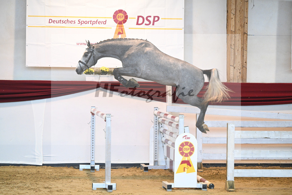 Kat-Nr. 54 v. Vingino_Stahl_66221450 | hf-fotografie - Realisiert mit Pictrs.com
