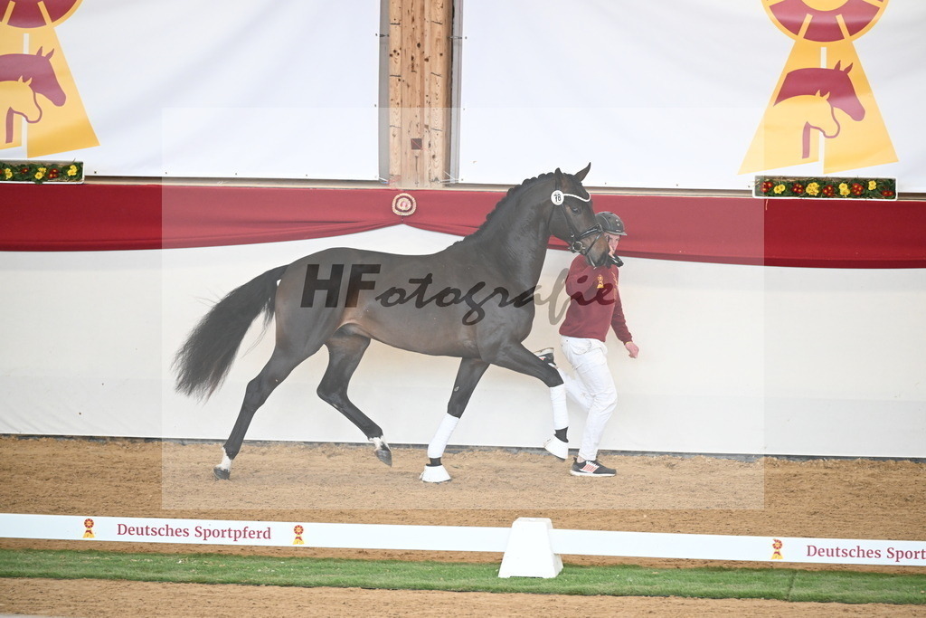 Kat.-Nr. 78 v. Springbank II VH_Reichert_2250743 | hf-fotografie - Realisiert mit Pictrs.com