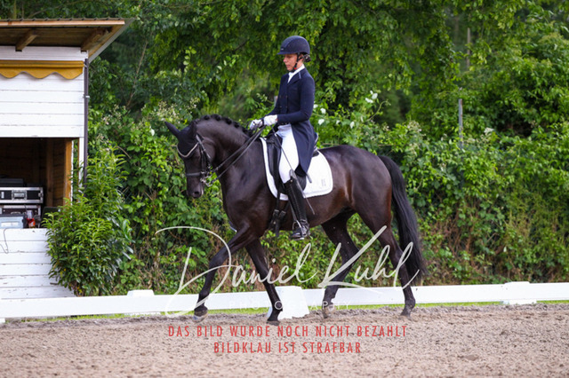 DKP41672 | Turnierfotos kaufen im Webshop von Daniel Kuhl Photography – entdecke professionelle Reitsportfotos aus Turnieren & Events. Hochwertige Turnierbilder online bestellen & sichern. Jetzt Fotos von Reitsportturnieren kaufen!