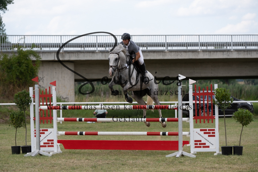 A7V02540 | Pferdefotograf