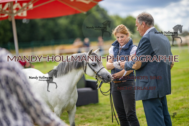 IG WELSH VM 2024-472 | mandyhollmannphotographie