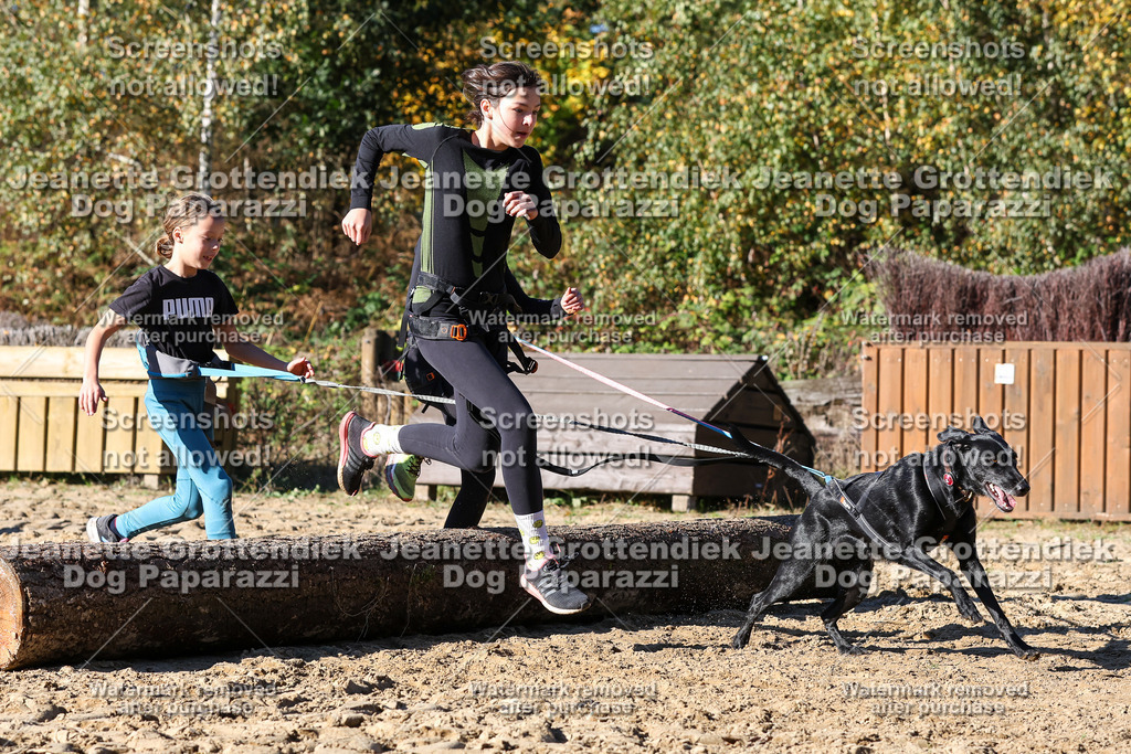 Dog Paparazzi - Strongdog 10-25-2547 | Dog Paparazzi Jeanette Grottendiek Fotografie & Videografie - Realisiert mit Pictrs.com