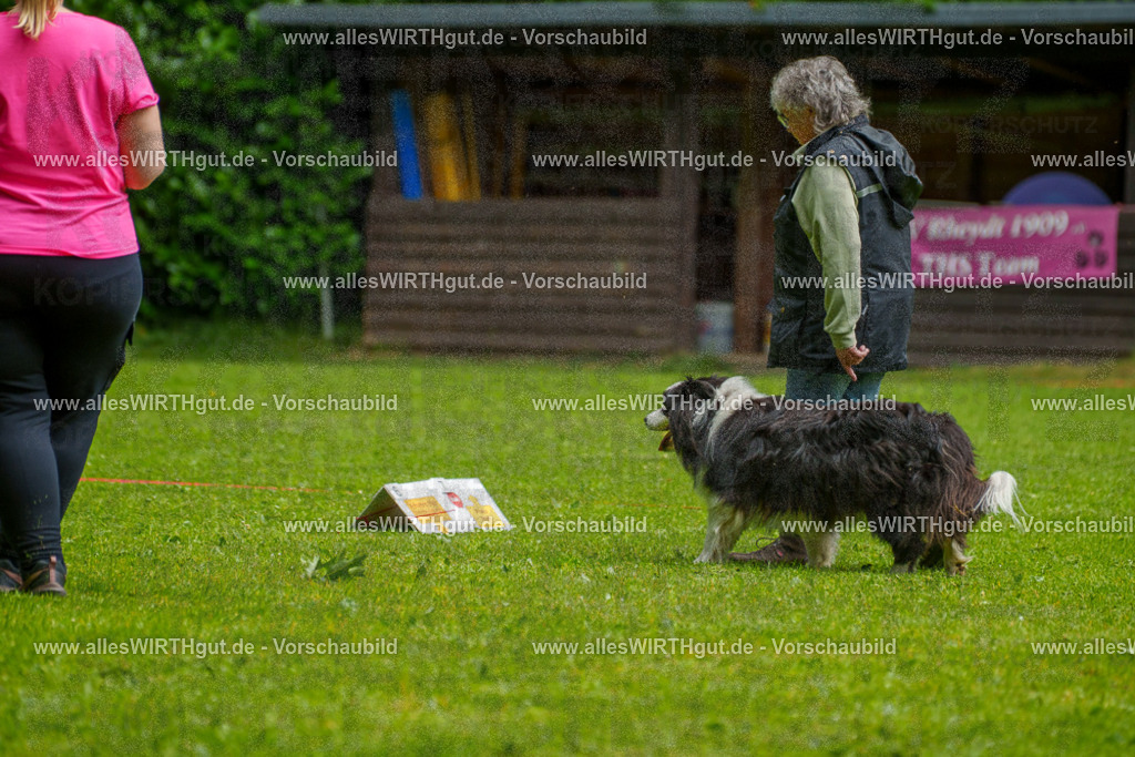 @allesWIRTHgut_Tierfotografie - www.allesWIRTHgut.de - 7R502688 | Professionelle Tierfotografie in Mönchengladbach von Daniel Wirth (allesWIRTHgut). Liebevolle & natürliche Bilder von Hunden & Katzen für unvergessliche Erinnerungen.