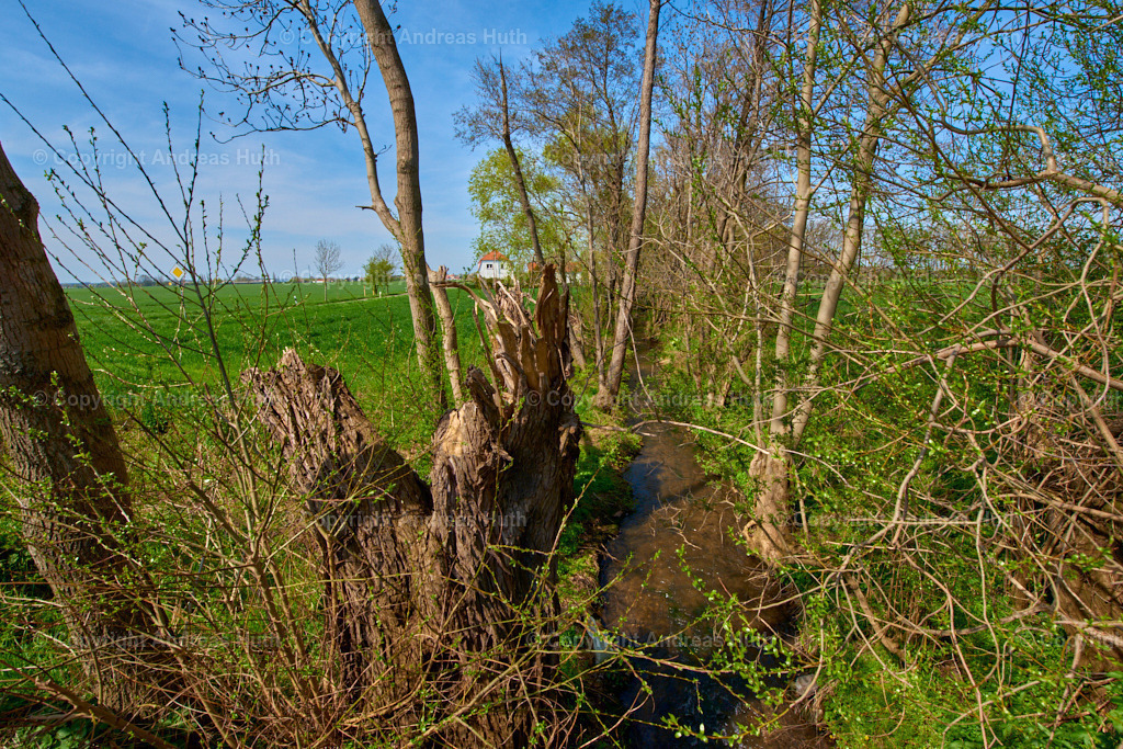 Blick vom Elsterfloßgraben in Richtung Lützen 02 | Bedeutsame Landschaften Deutschlands - Realisiert mit Pictrs.com