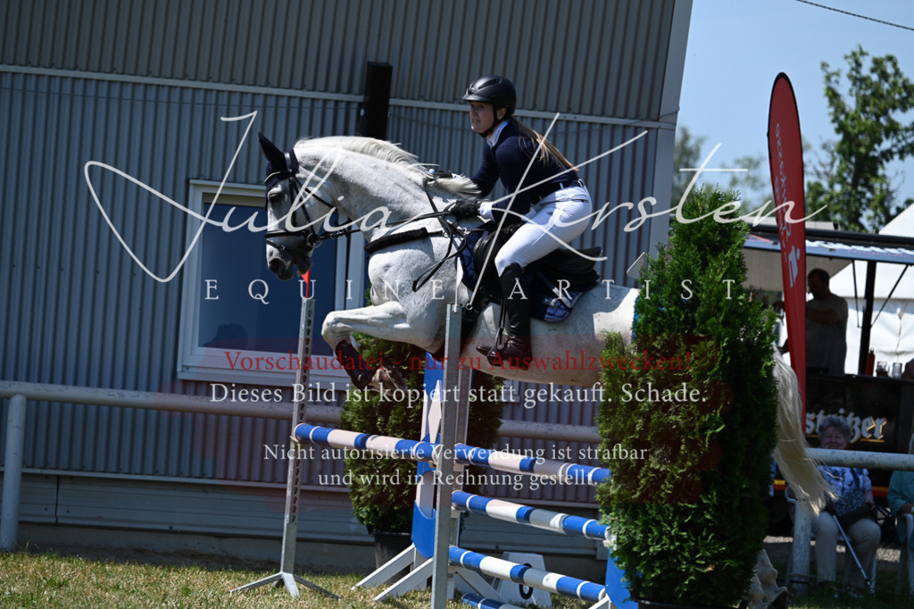 DSC_0576 | Pferde- und Turnierfotografie in Westsachsen. Pferdeportraits, Auftragszeichnungen und intuitive Kunst.