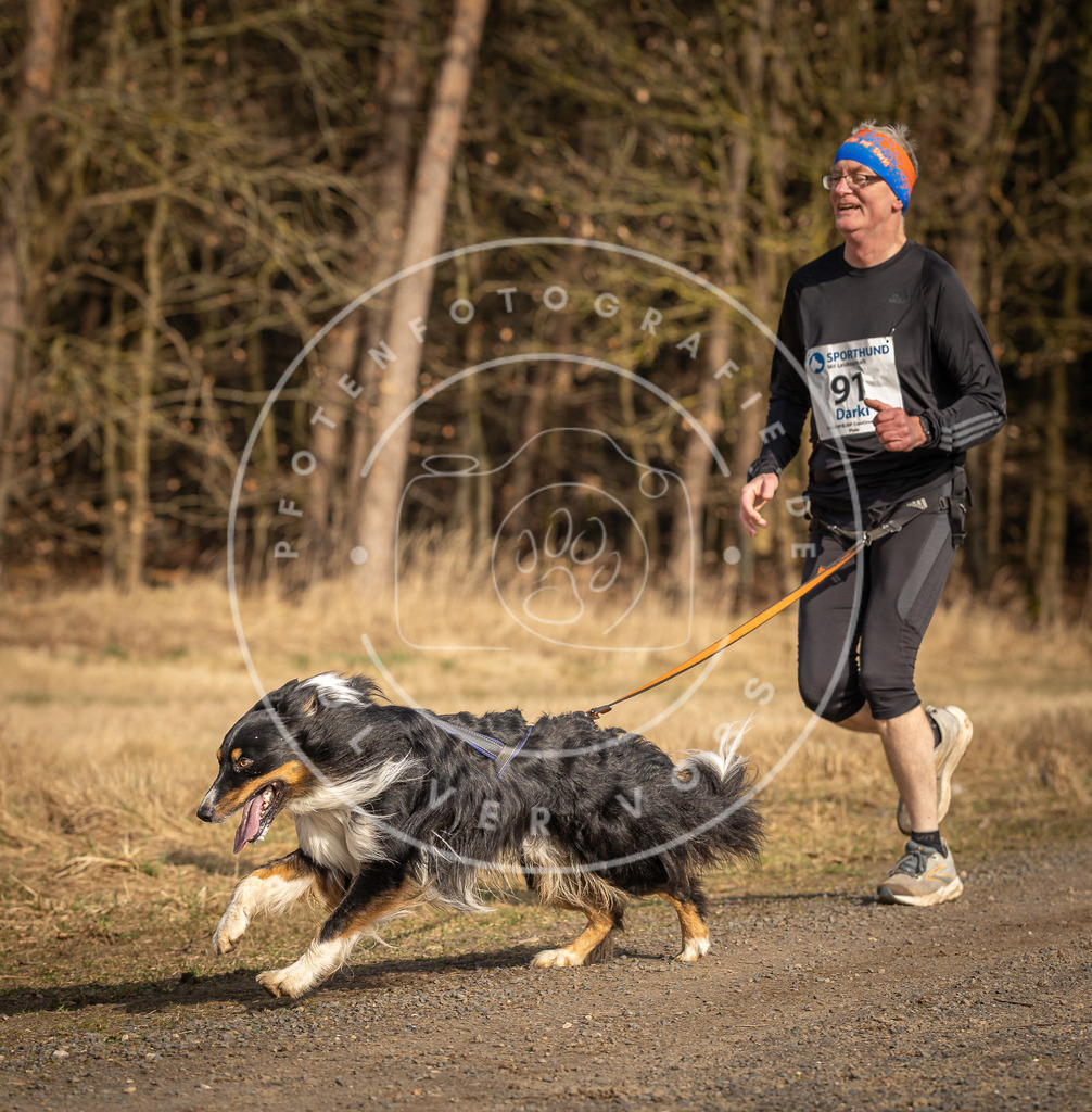 DV3A3845 | Hundefotografie, Tierfotograf, Pfotenfotografie, Fotoshooting Hund, Hunde Portrait, Hundesport, Hundeportraits, Heideshooting, Hunde, Sportfotograf, Hundefotograf, Turnierhundsport, THS,  - Realisiert mit Pictrs.com