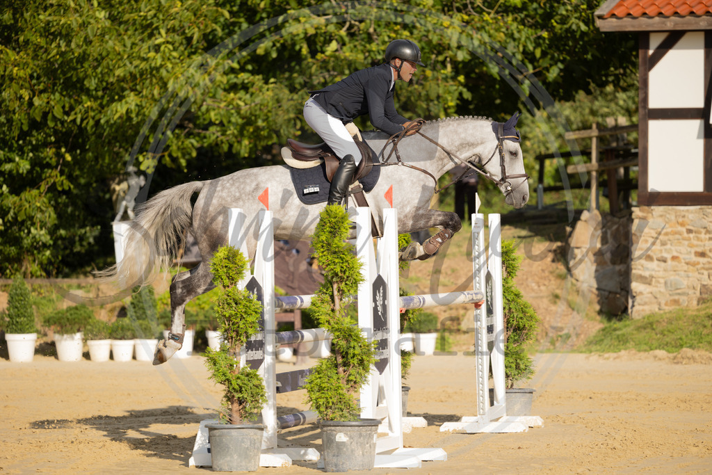 994A8631 | sabrinanicolaifotografie - Realisiert mit Pictrs.com