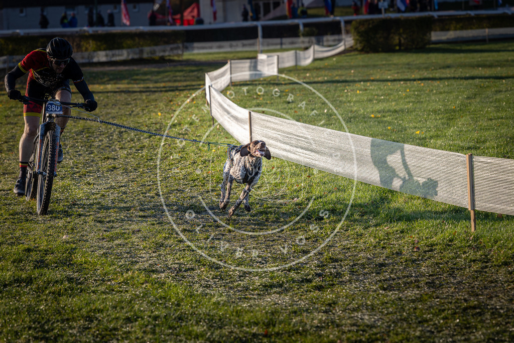 CaniXpix_0L8A3680 | Hundefotografie, Tierfotograf, Pfotenfotografie, Fotoshooting Hund, Hunde Portrait, Hundesport, Hundeportraits, Heideshooting, Hunde, Sportfotograf, Hundefotograf, Turnierhundsport, THS,  - Realisiert mit Pictrs.com