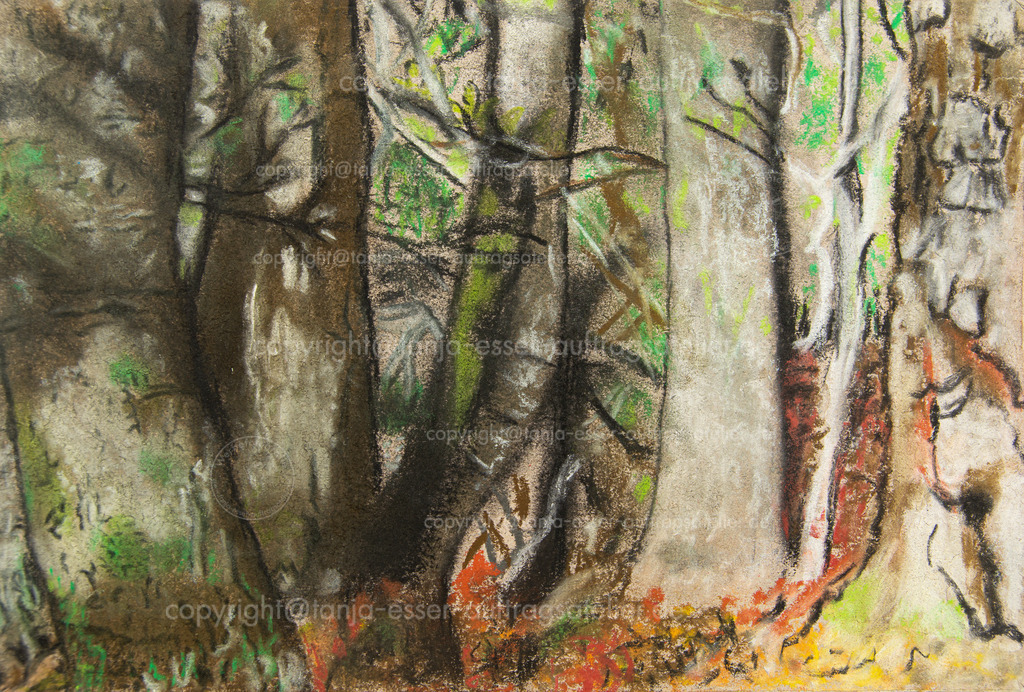 Herbstwald | Eine Kreidezeichnung zeigt Baumstämme im Herbstwald. Die Herbstsonne wirft Schatten der Äste auf umliegende Bäume. Viele Strukturen, goldenes Herbstlaub.