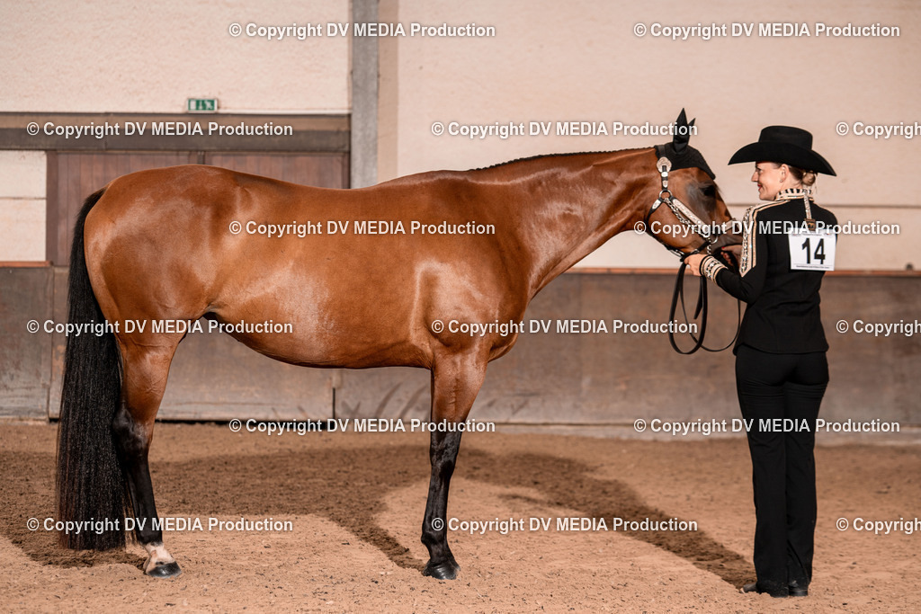 LM Heiligenwald Tag 1-312 | dv-media-shop - Realisiert mit Pictrs.com