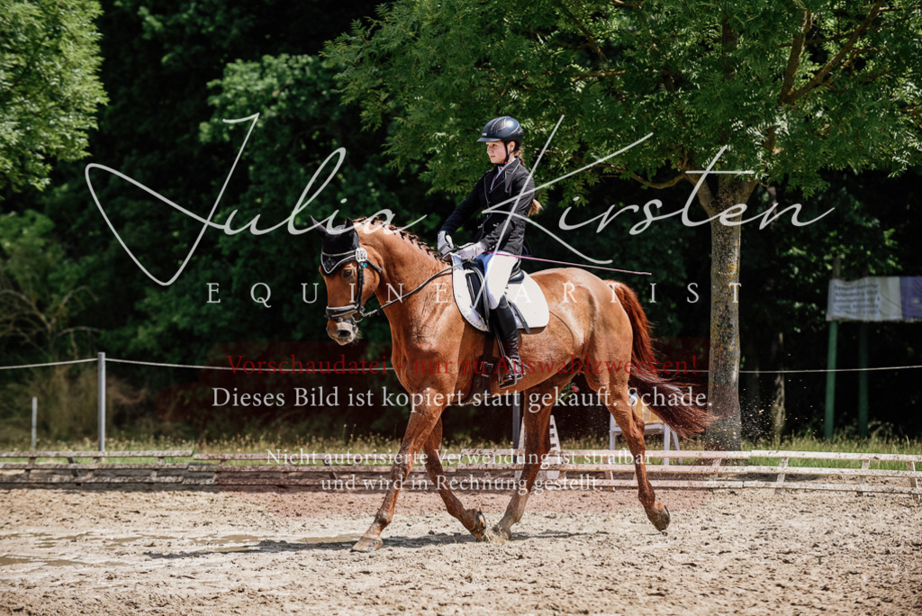 DSC_1400 | Pferde- und Turnierfotografie in Westsachsen. Pferdeportraits, Auftragszeichnungen und intuitive Kunst.