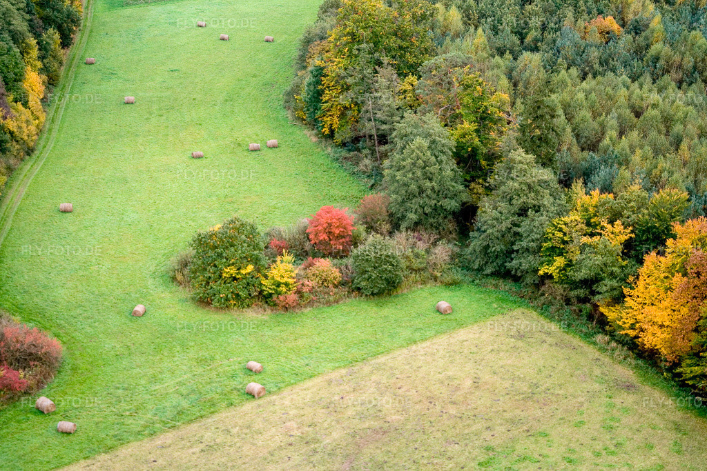 Luftbild: Otterbachtal in Freckenfeld im Bundesland Rheinland-Pfalz in Deutschland. Foto: IMG_13847.jpg vom 08.10.2008 durch Werner Riehm/FLY-FOTO.de