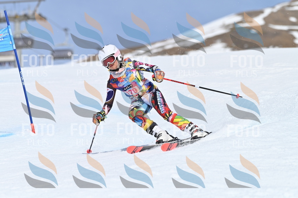 BGV_0599 | holidayphoto