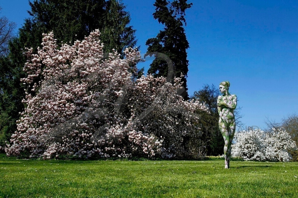 NatureArt-MAGNOLIEN_8564 | Blütenstatue im Park | #002 | Modell: Daniela | Foto: Tschiponnique Skupin - Realisiert mit Pictrs.com