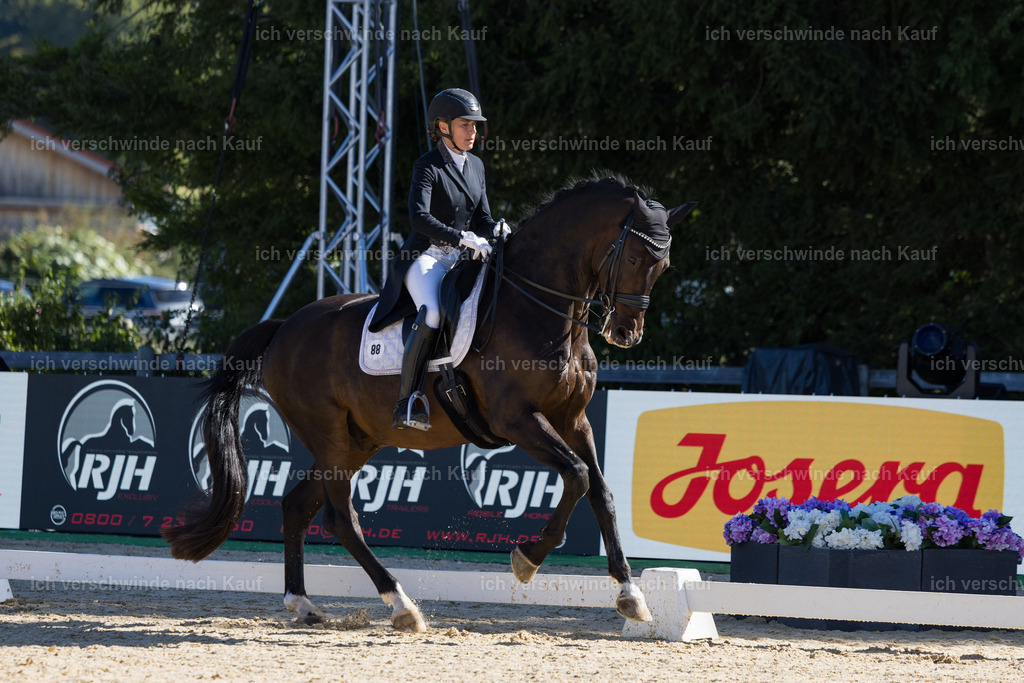 FHC2026_P07_88_17589 | working equitationturnier fotograf videograf stoibphotography marixx film working equitation deutschland reitsport turnierfotografie eventfotografie equestrian events