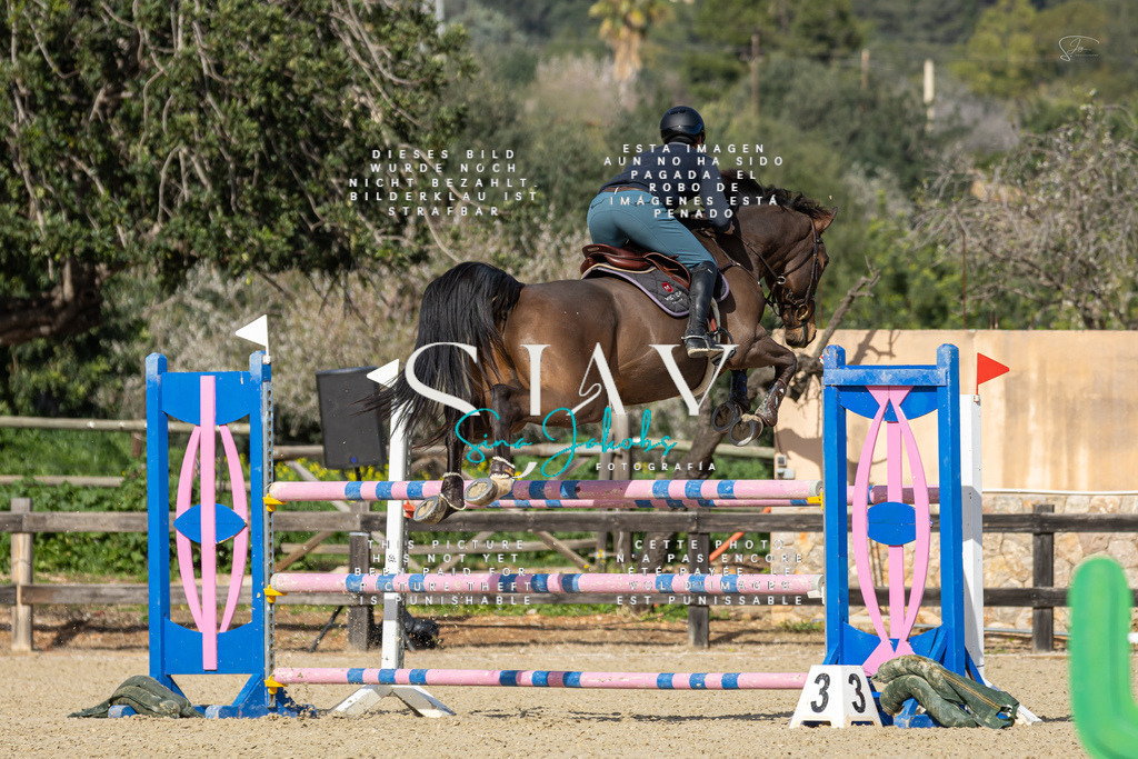 IMG_6837 | s-jay-photography - Realisiert mit Pictrs.com