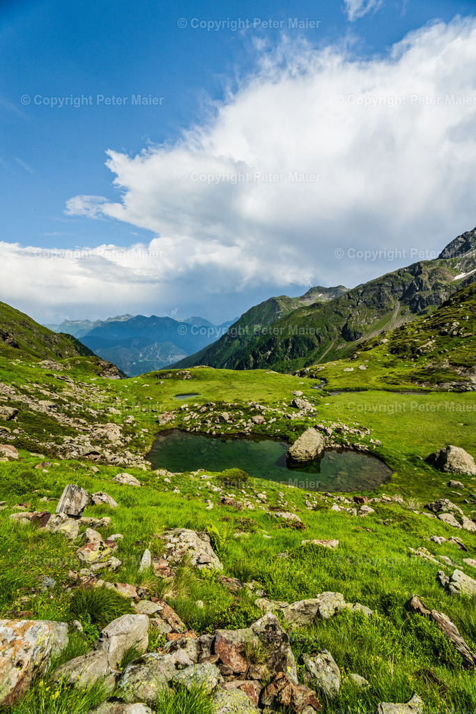 Wangenitze Rest-7 | piet_flosse